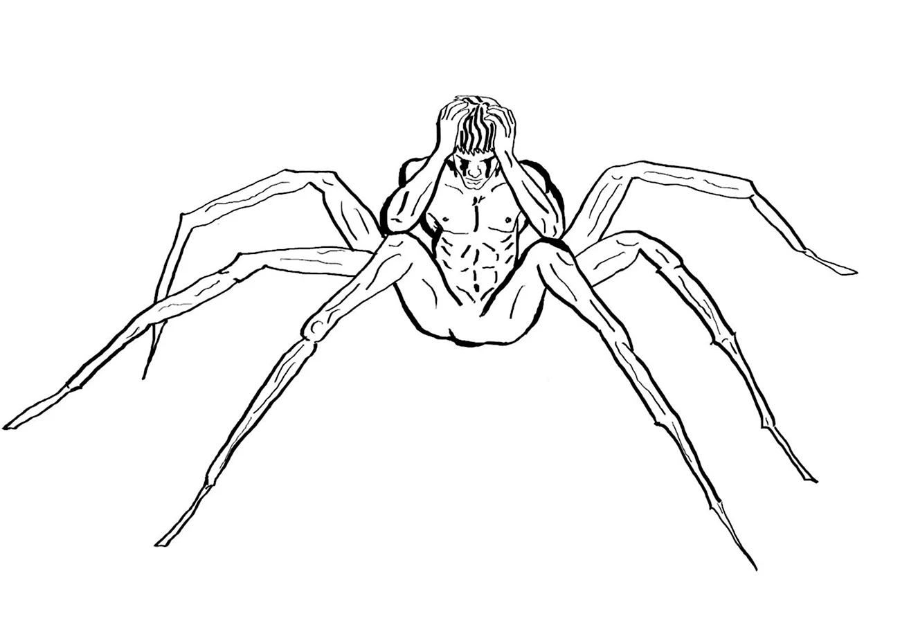 Рисунки пауков для срисовки. Для срисовки