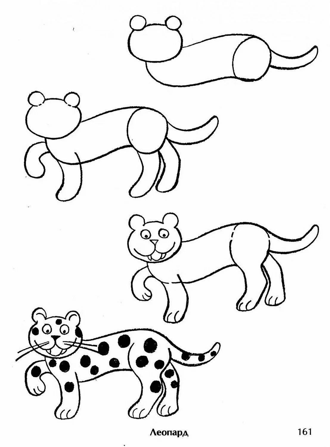 Рисунки животных. Для срисовки