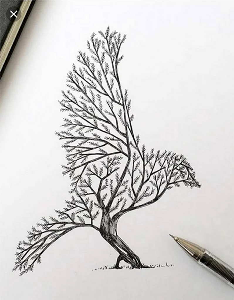 Рисунок дерево карандашом для срисовки. Для срисовки