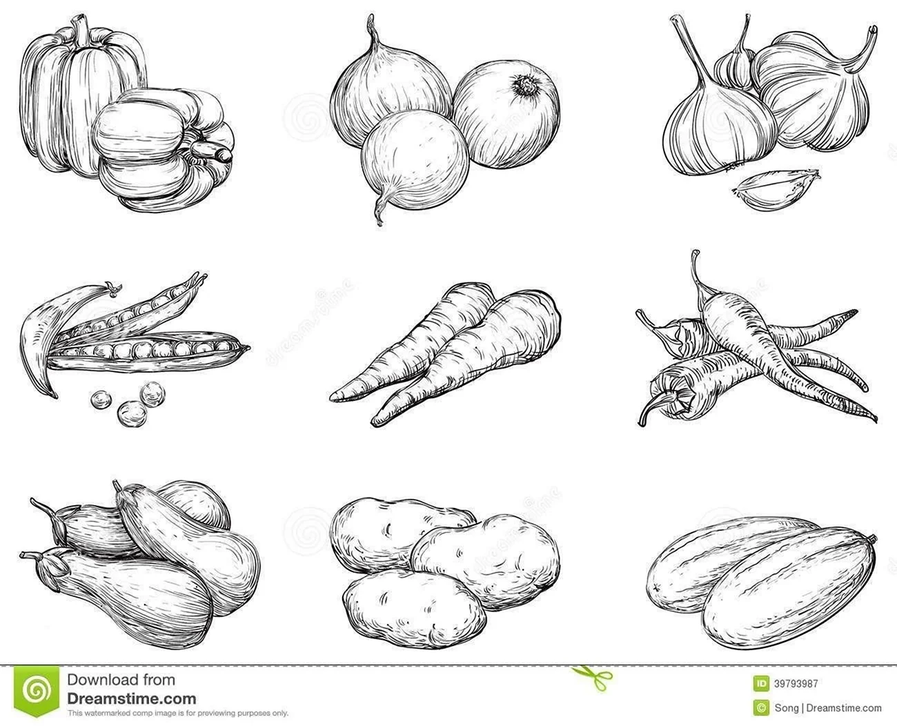 Рисунок фруктов и овощей карандашом. Для срисовки
