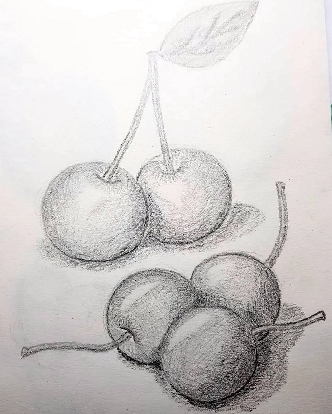 Рисунок фруктов карандашом. Для срисовки