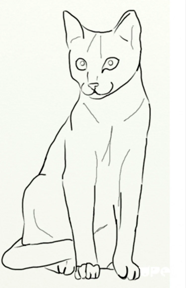 Рисунок кошки для срисовки. Для срисовки