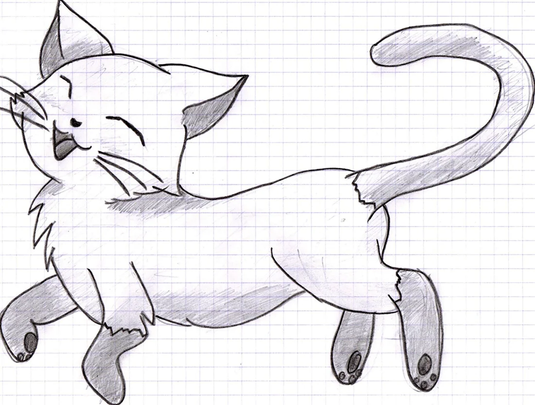 Рисунок кота карандашом для срисовки. Красивые картинки животных