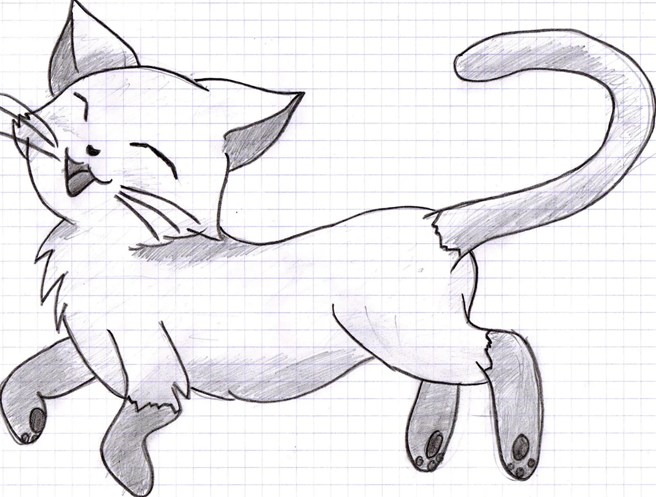 Рисунок кота карандашом для срисовки. Для срисовки