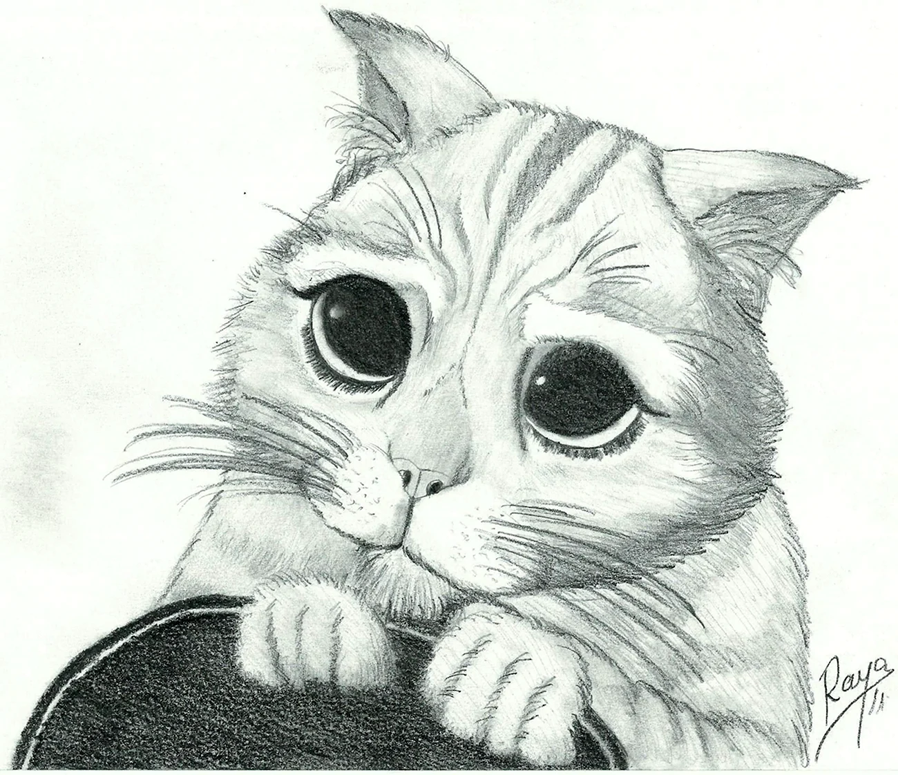 Рисунок котёнка карандашом для срисовки. Для срисовки