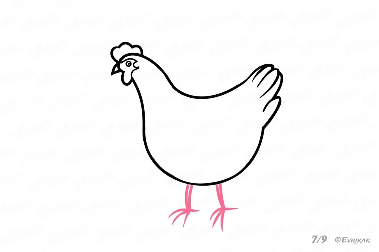 Рисунок курицы для срисовки. Для срисовки