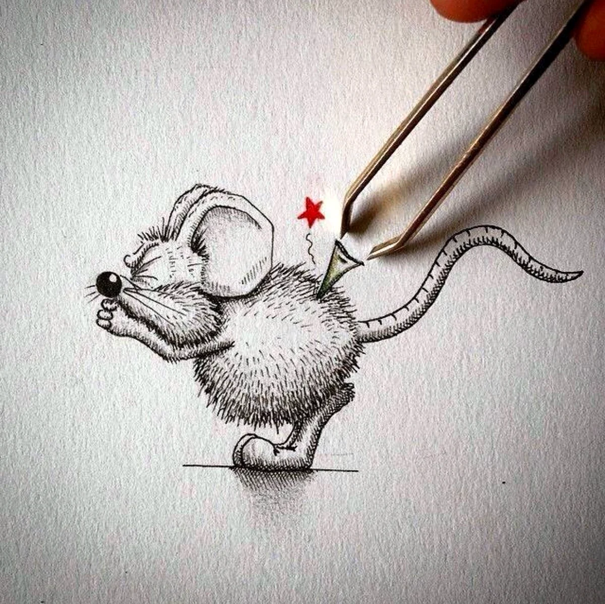 Рисунок мышки для срисовки. Для срисовки