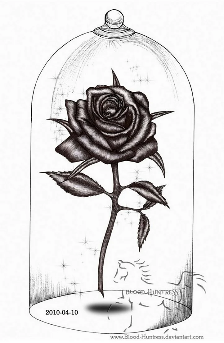 Рисунок розы для срисовки. Для срисовки