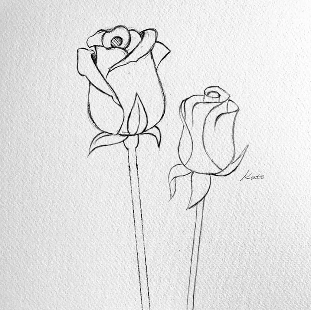 Рисунок розы для срисовки легкие. Для срисовки