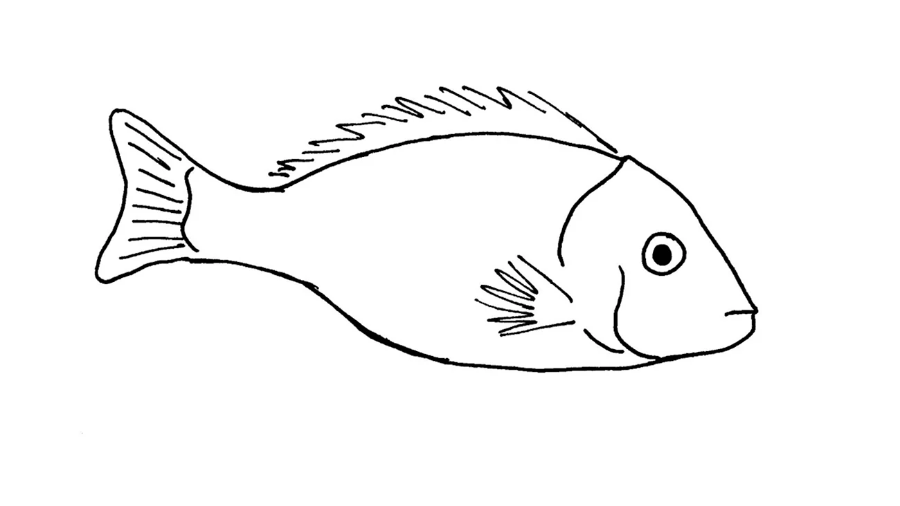 Рисунок рыбы для срисовки. Для срисовки
