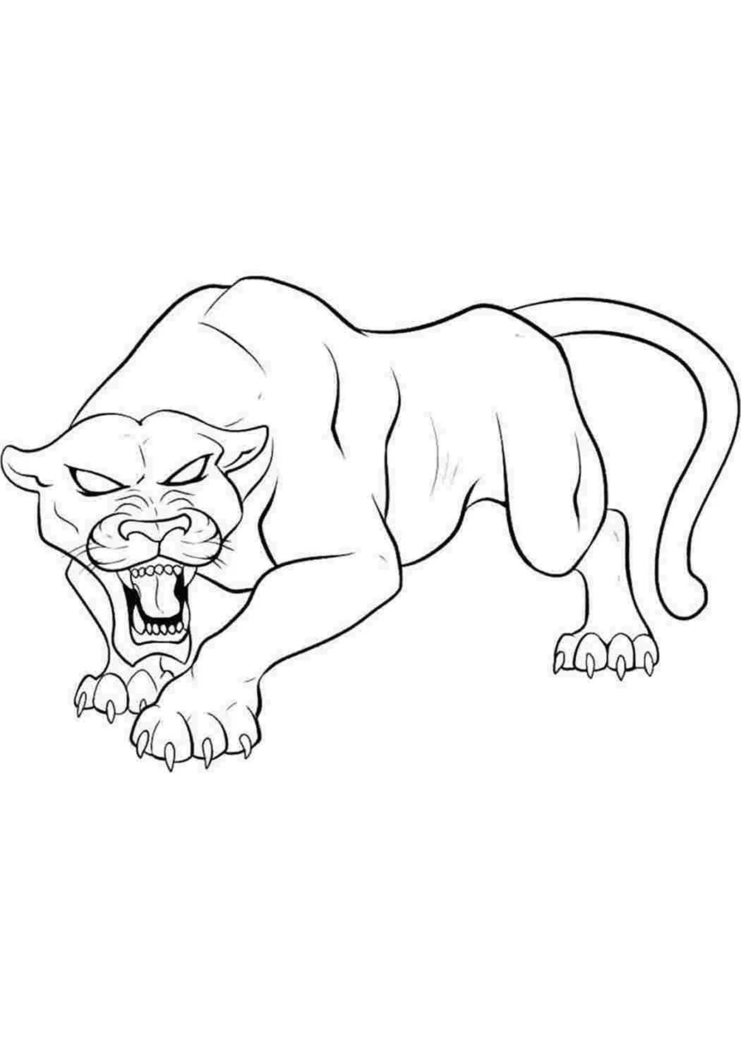 Рисунок Саблезубого тигра. Для срисовки