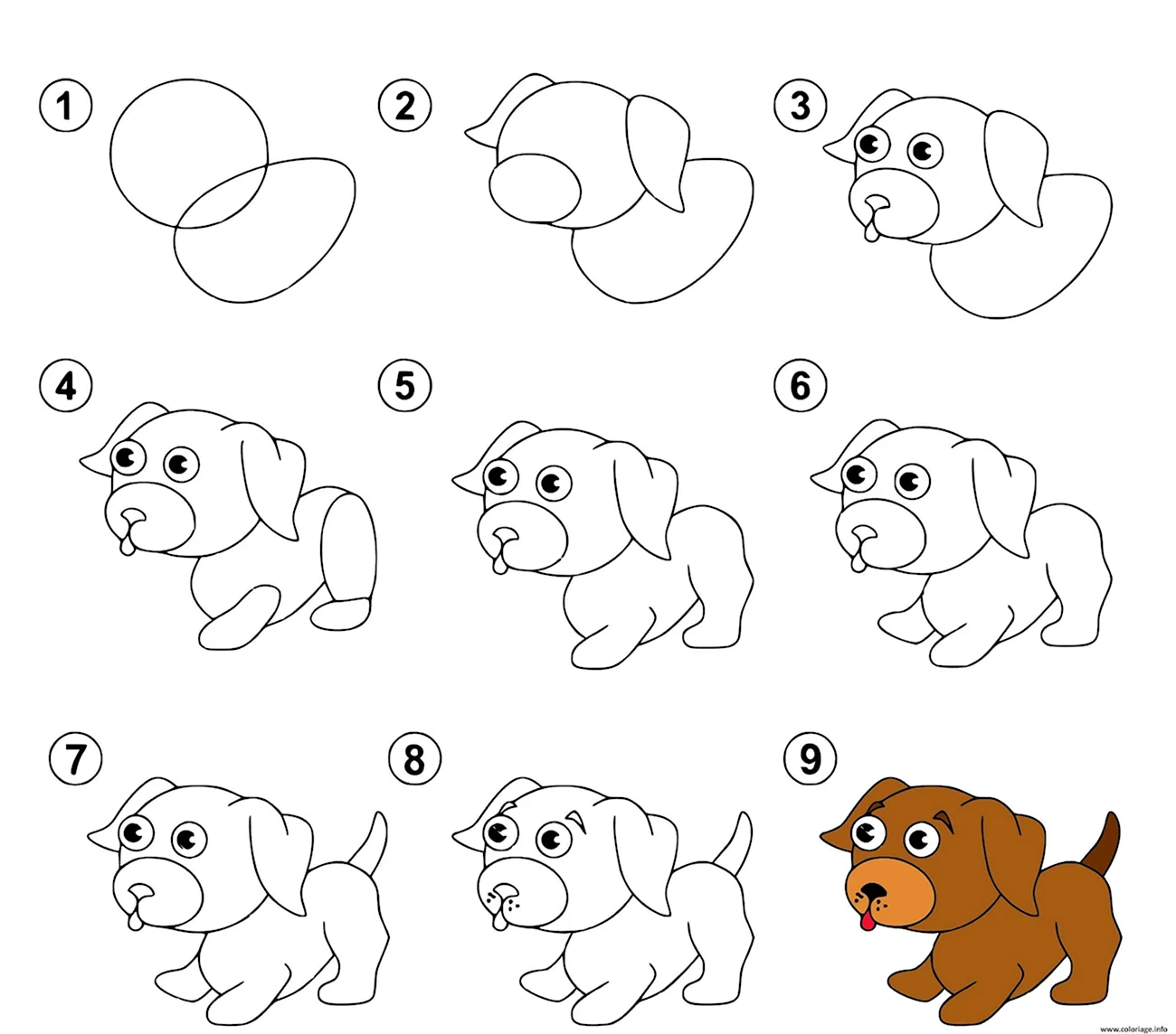 Рисунок собаки для детей по этапно. Для срисовки