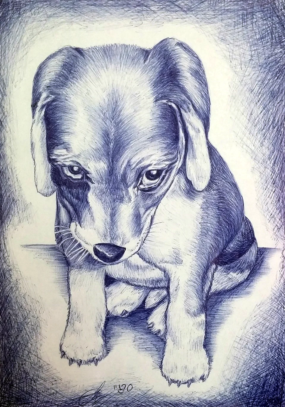 Рисунок собаки для срисовки. Красивое животное
