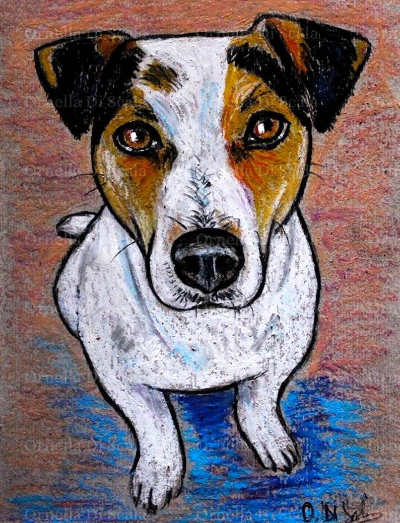 Рисунок собаки Джек Рассел терьер. Для срисовки
