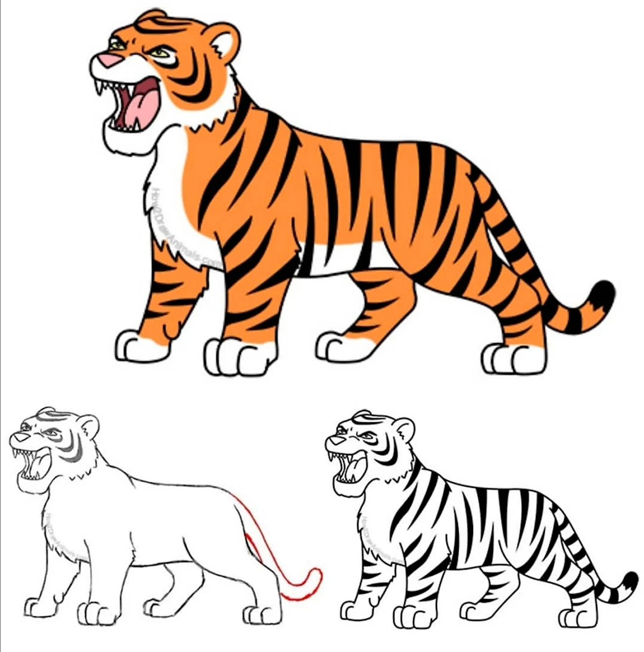 Рисунок тигра. Для срисовки