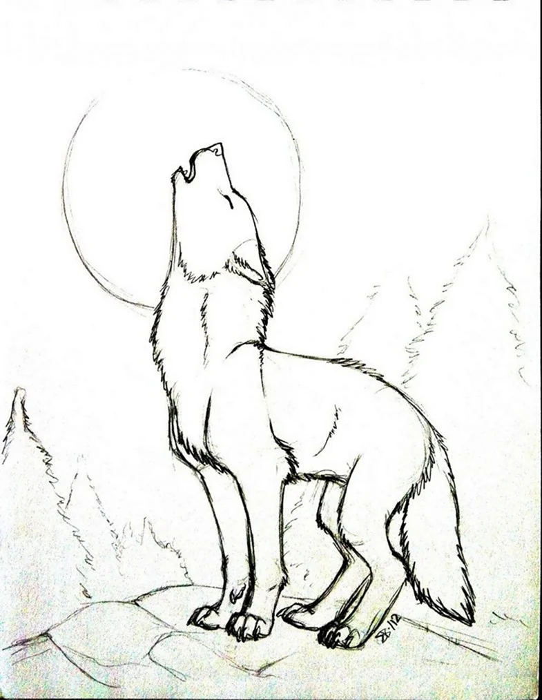 Рисунок волка карандашом для срисовки легкие. Для срисовки