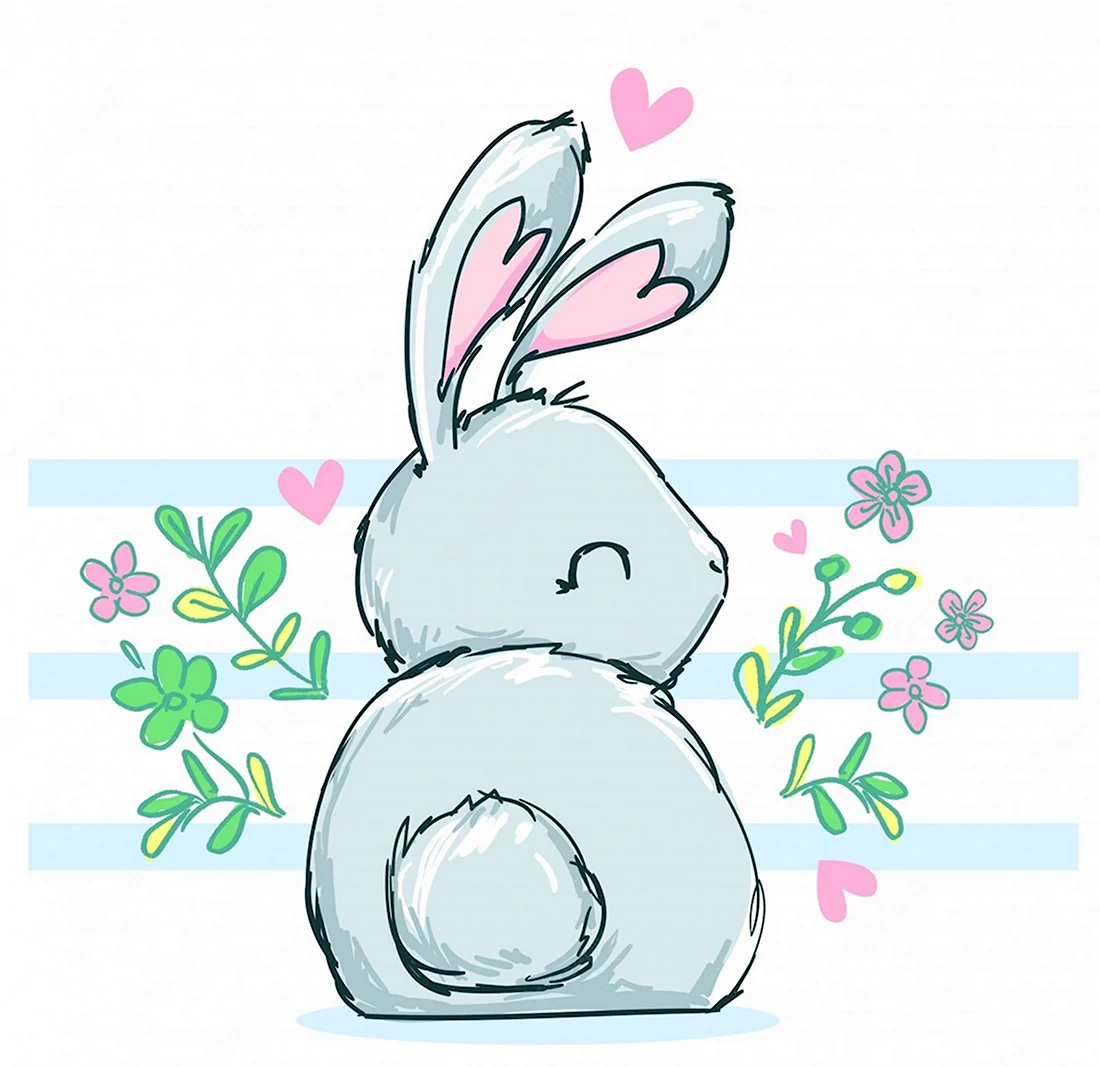 Рисунок зайца для срисовки. Красивые картинки животных