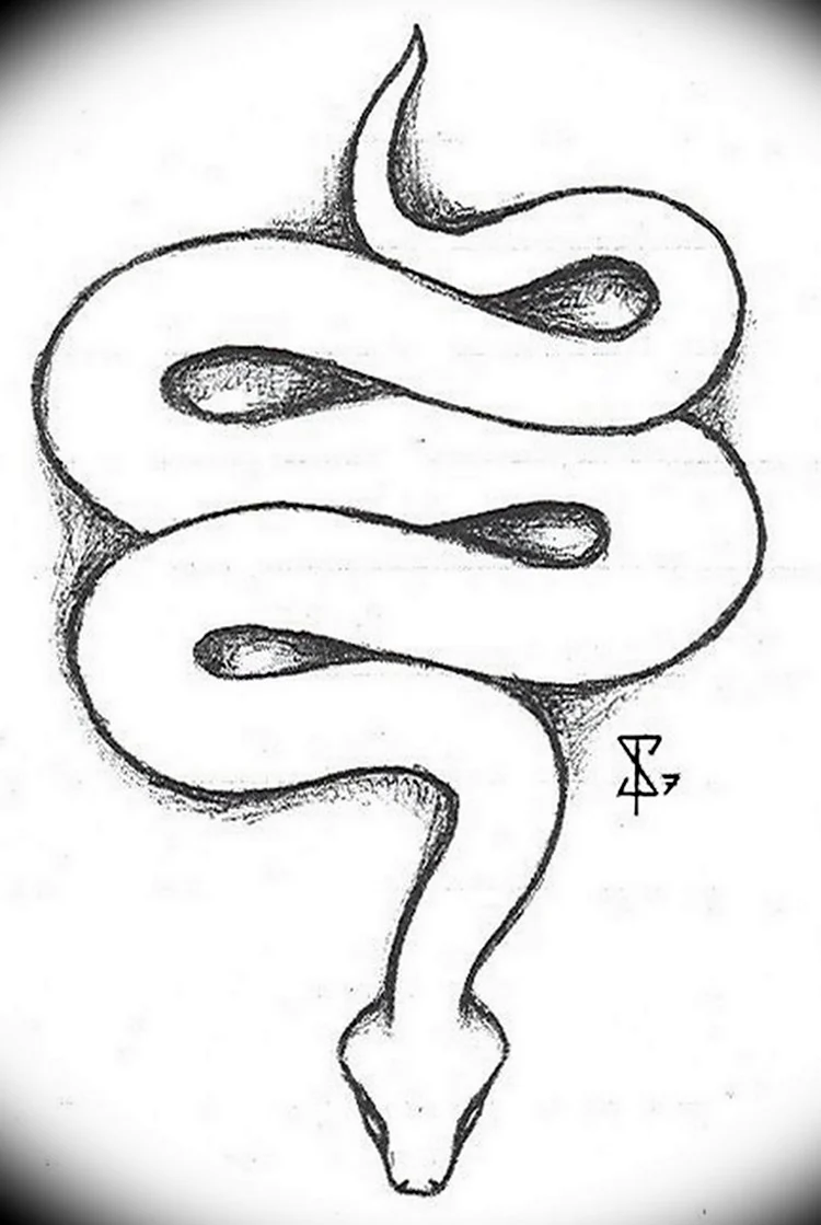 Рисунок змеи карандашом для срисовки. Для срисовки