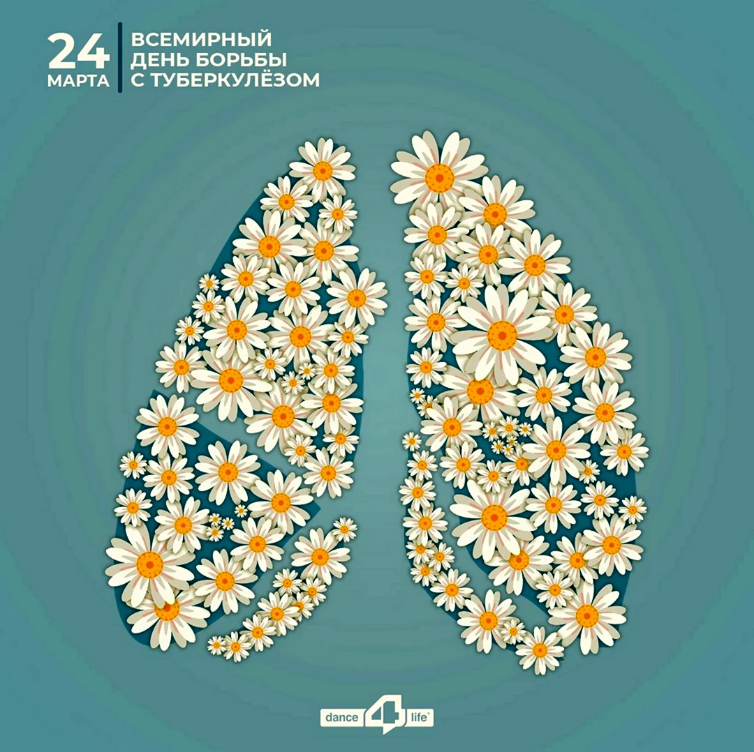 Ромашка 24 марта день борьбы с туберкулезом. Поздравление