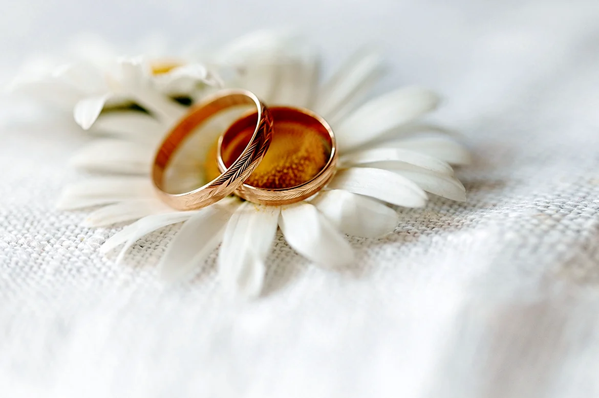 Ромашки и обручальные кольца. Поздравление с годовщиной свадьбы