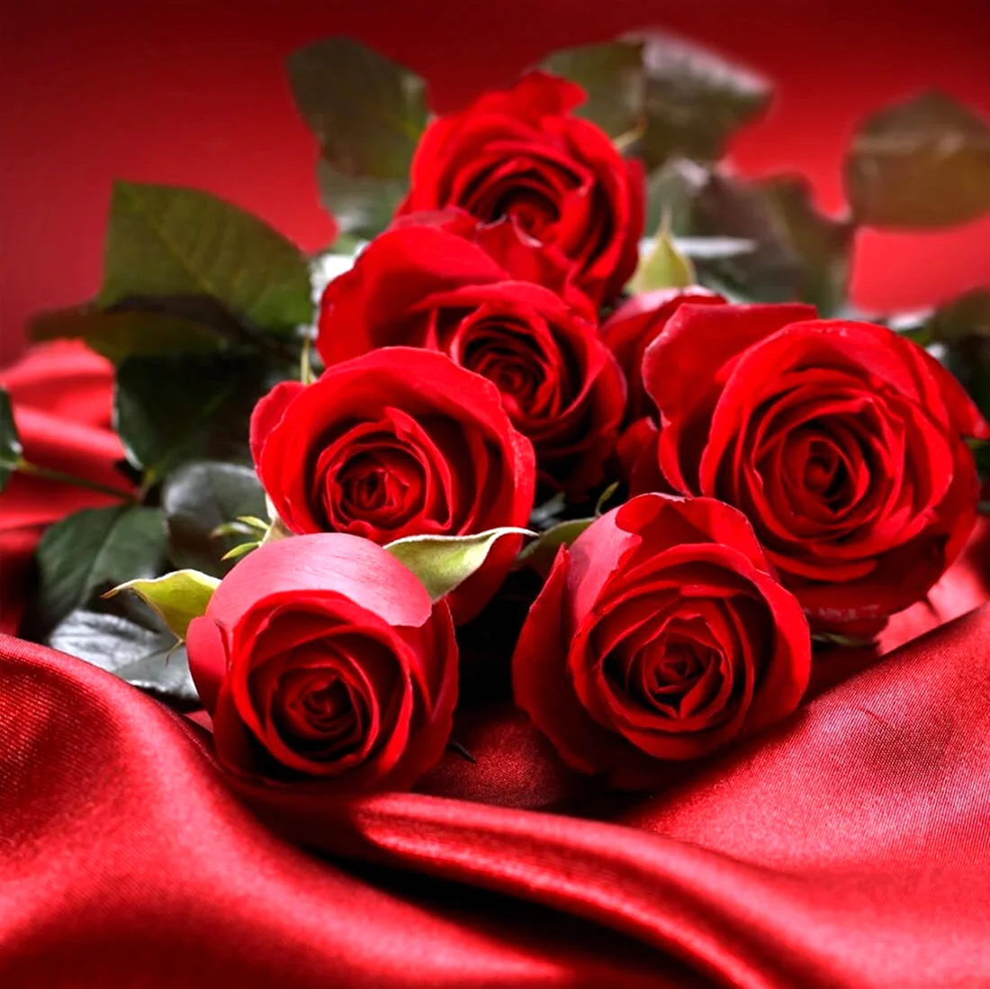 Роскошные красные розы. Открытка с днем рождения