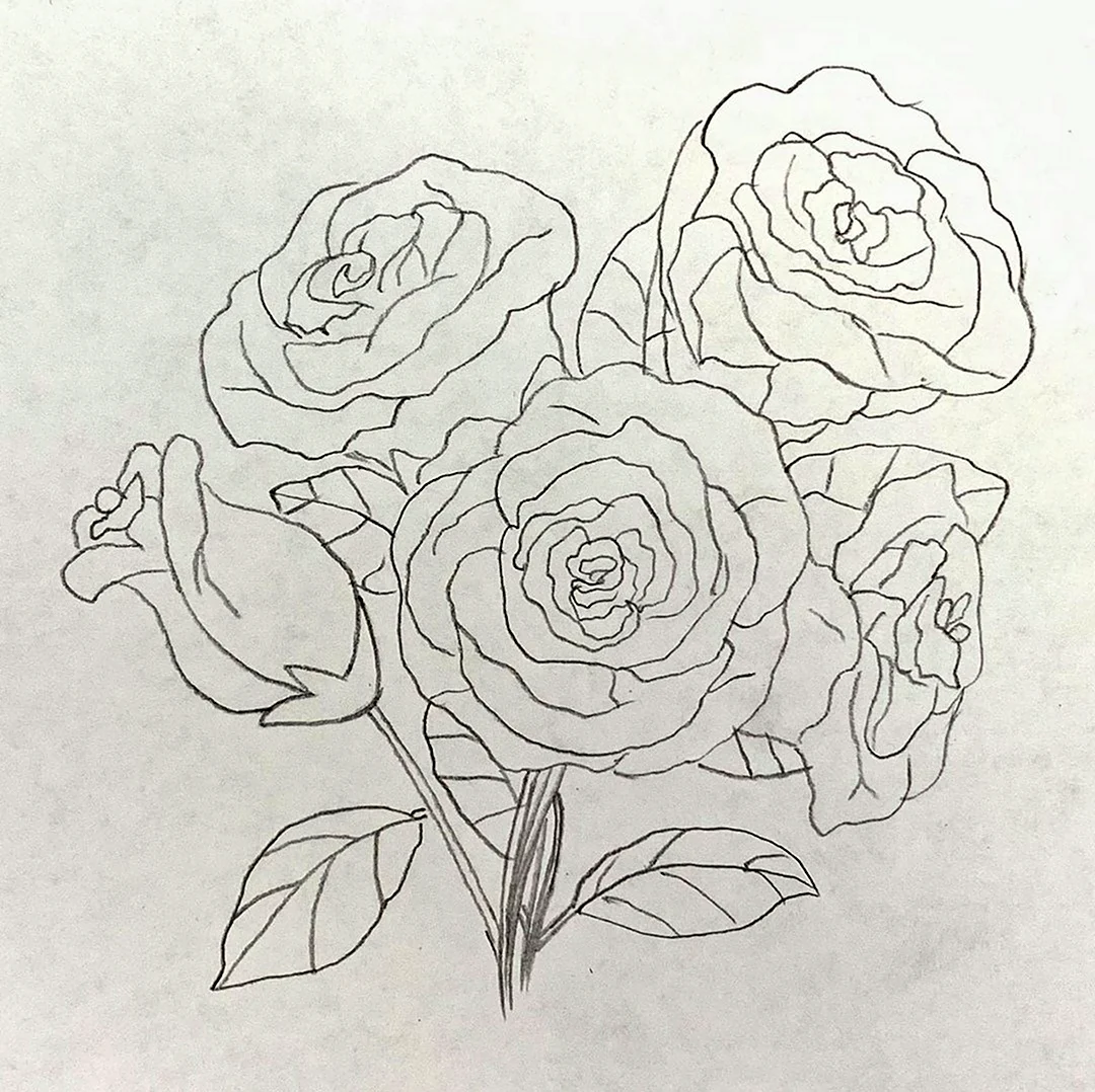 Роза для рисования. Для срисовки
