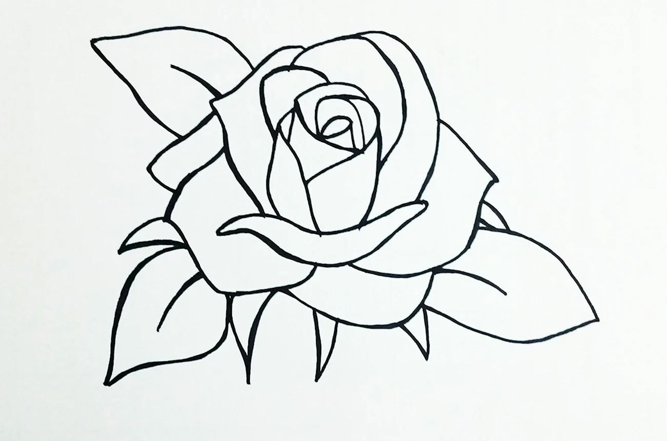 Роза карандашом для срисовки легко. Красивая картинка