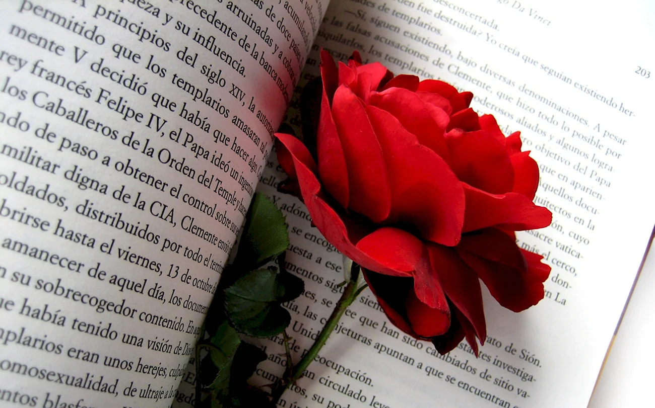 Роза на книге. Картинка