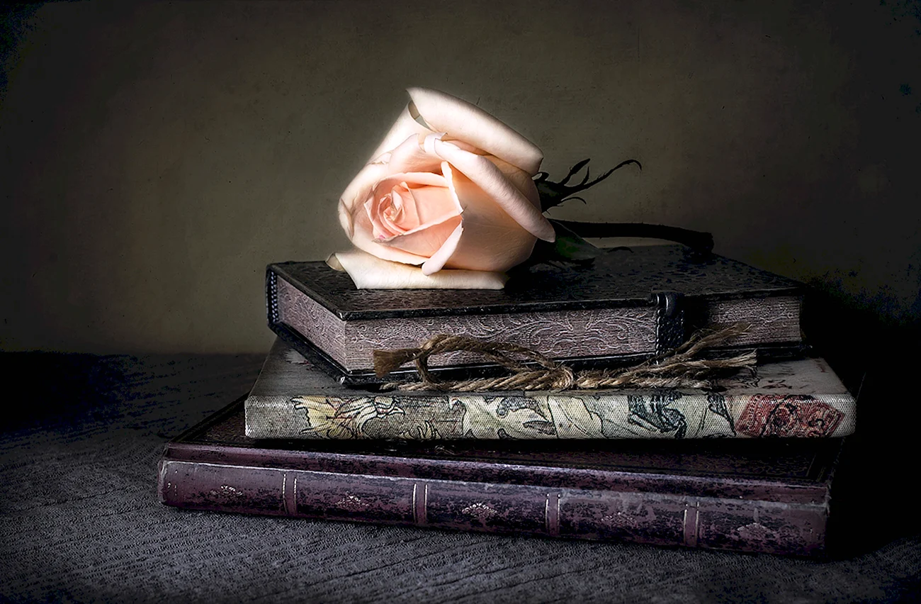 Роза на книге. Красивая картинка
