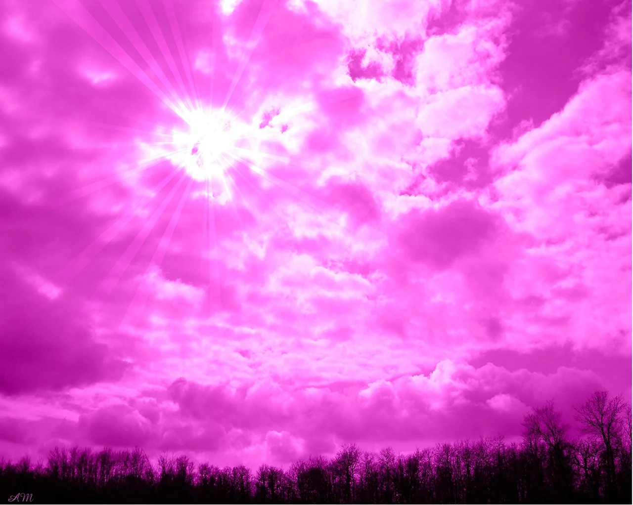 Розовое небо. Картинка
