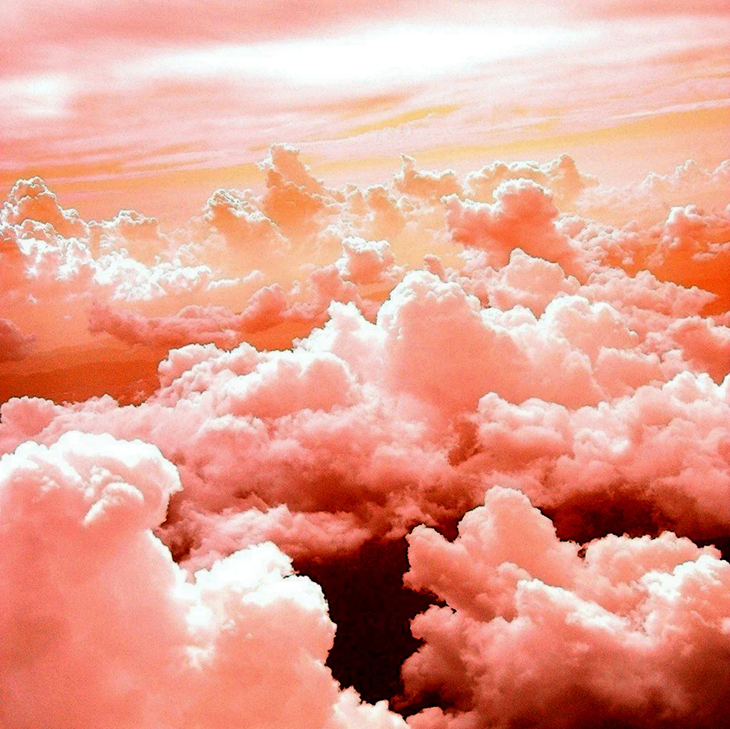 Розовое небо. Картинка