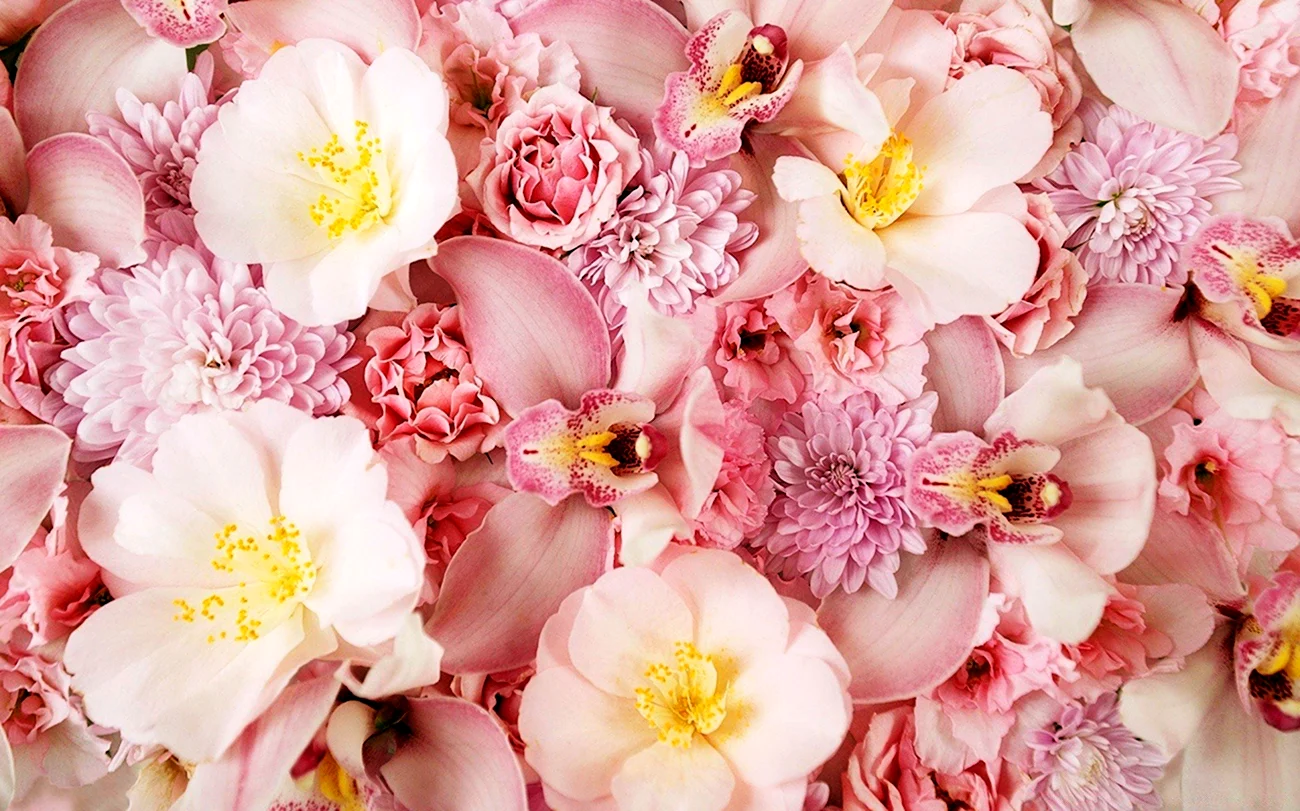 Розовые цветы. Красивая картинка