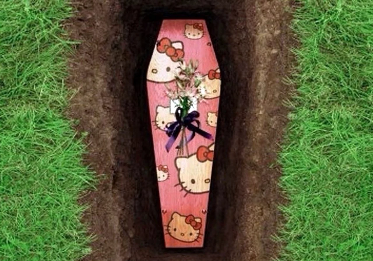Розовый гроб с Хеллоу Китти. Прикольная картинка