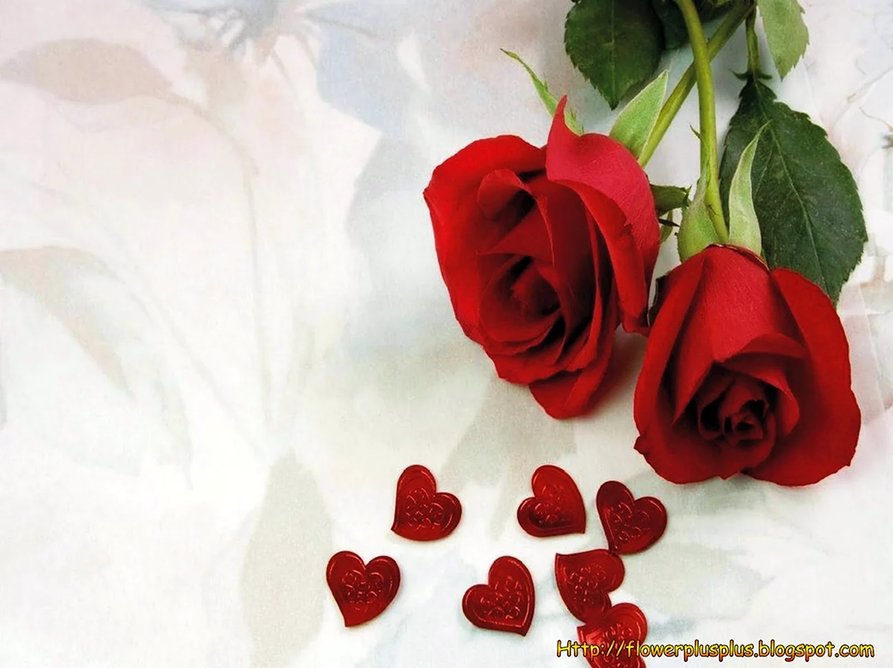 Розы для любимой девушки с надписью. Красивая картинка