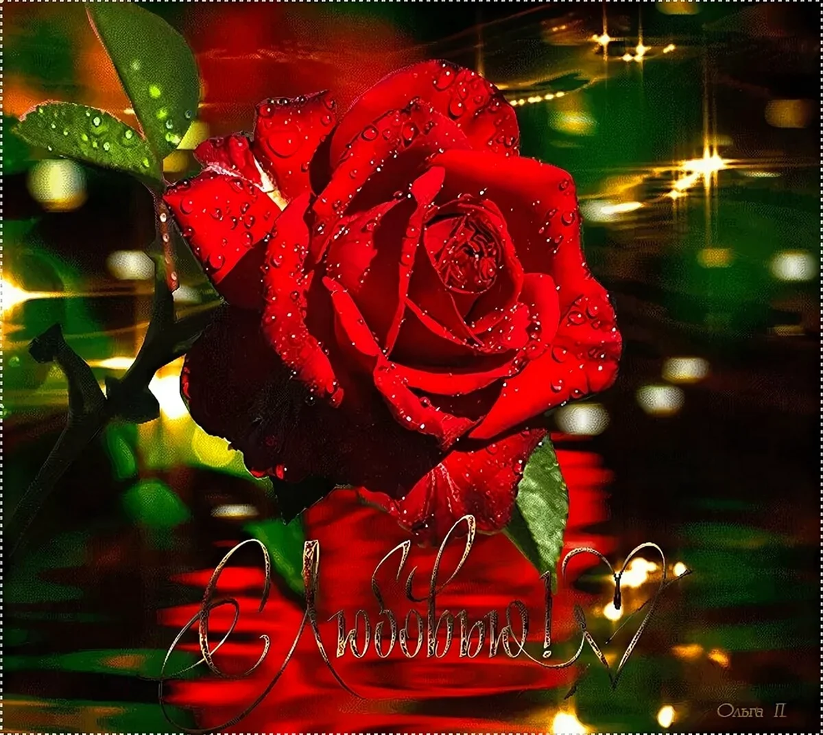 Розы для тебя. Красивая картинка