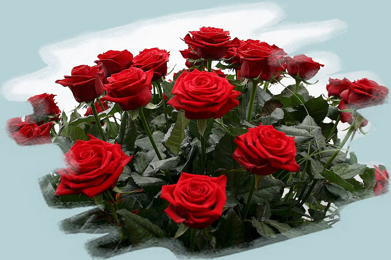 Розы с пожеланиями счастья. Красивая картинка