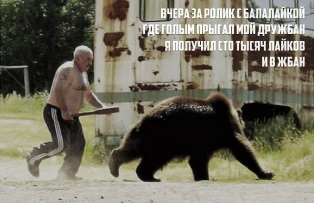 Русский медведь. Картинка