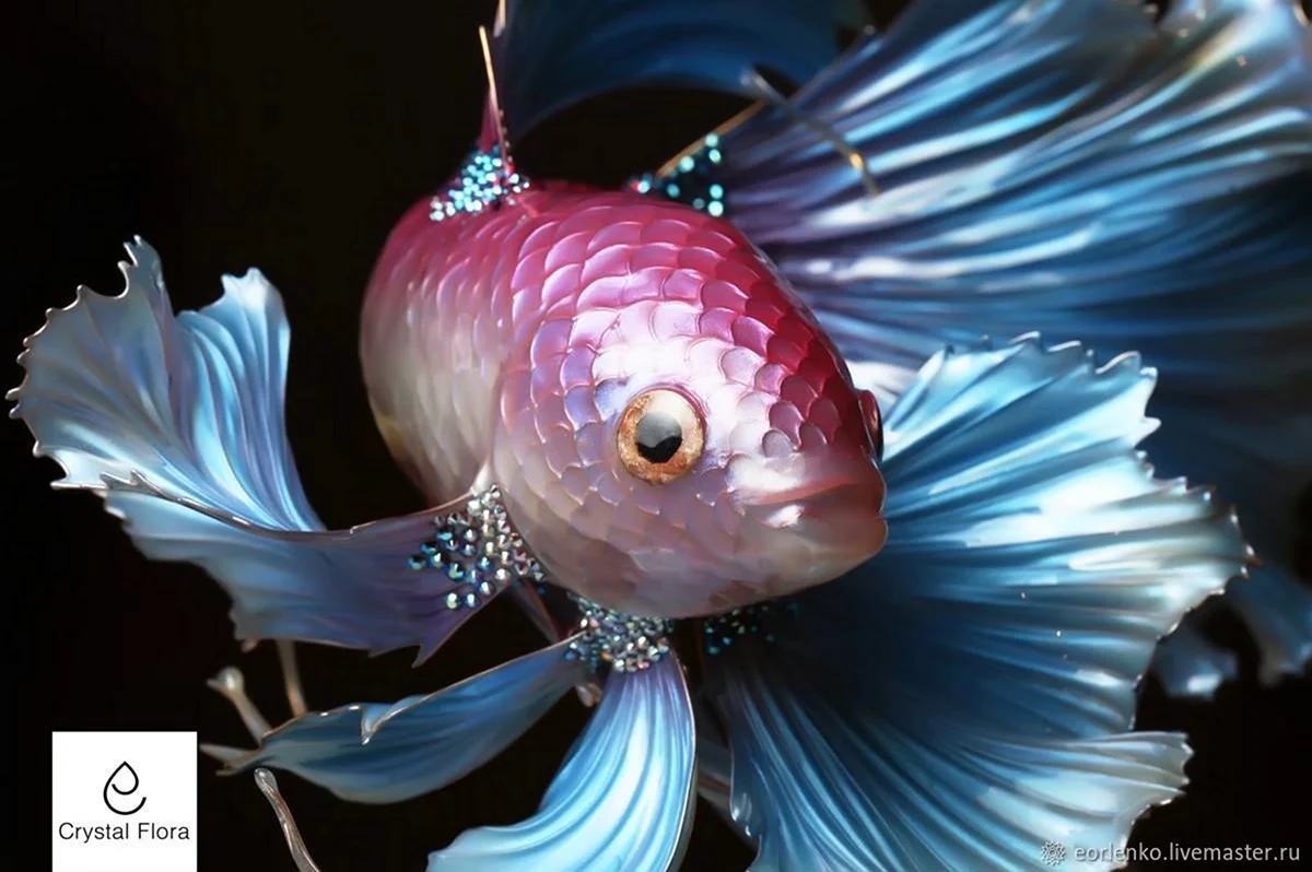 Рыба Елена. Красивое животное