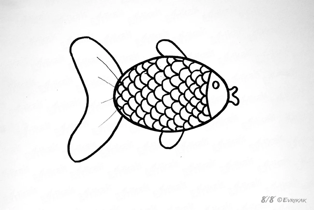 Рыбка рисунок карандашом. Для срисовки