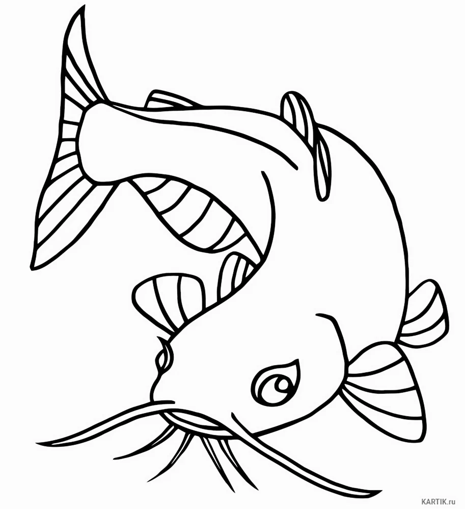 Рыбка сомик аквариумный раскраска. Для срисовки