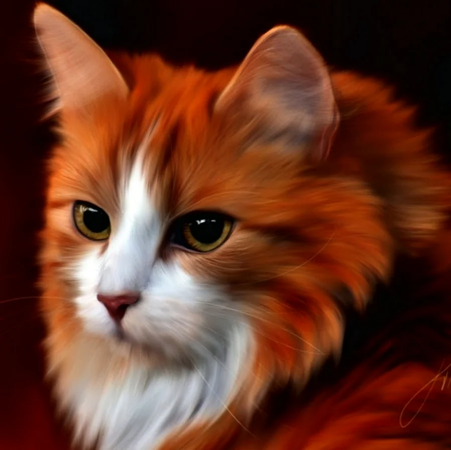 Рыжие коты Воители. Красивое животное