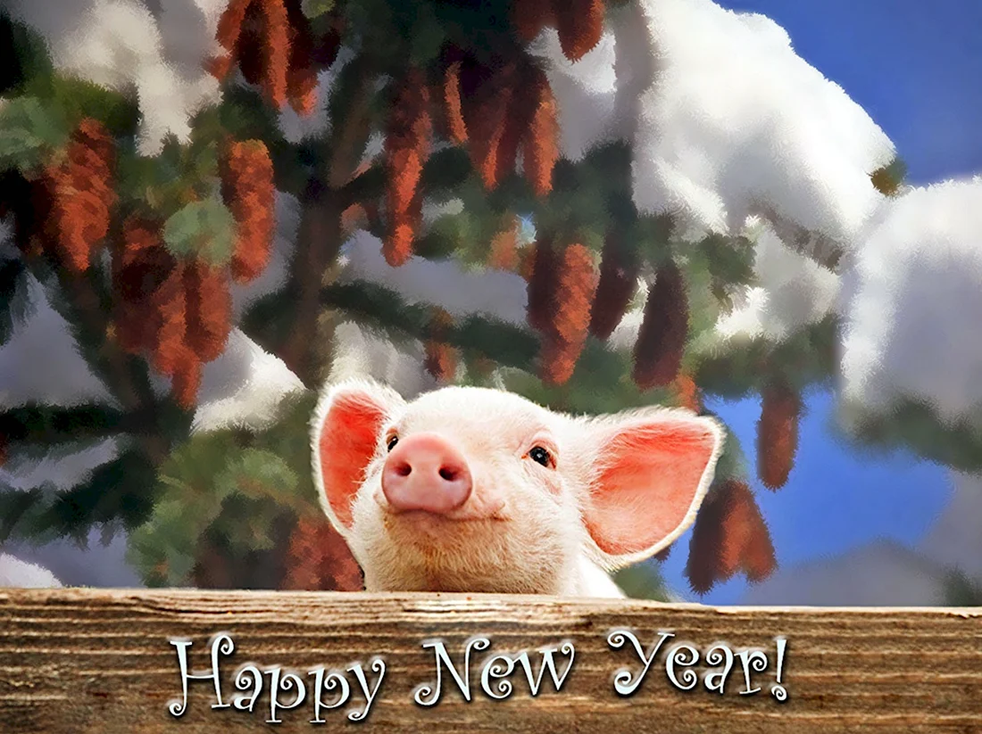 С новым годом свиньи. Открытка на праздник