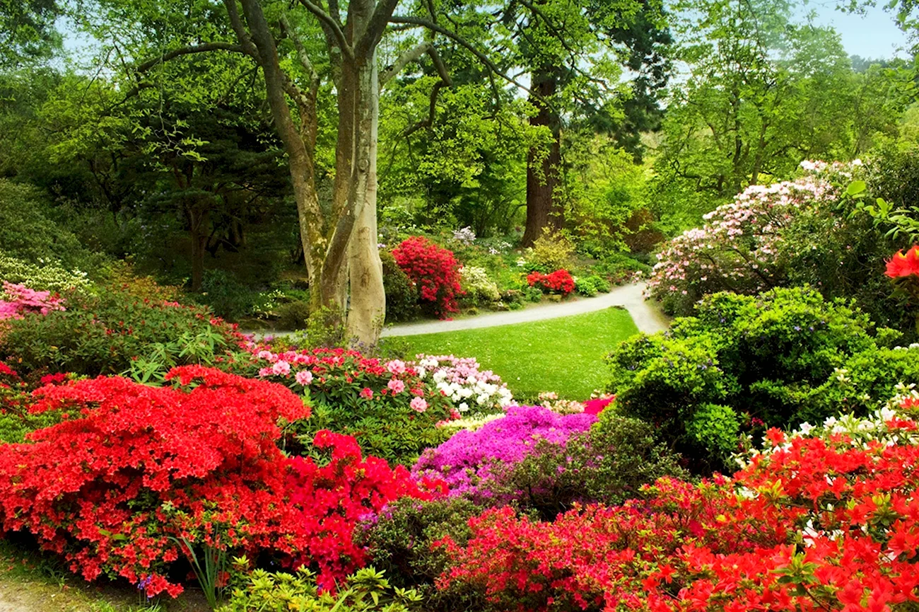 Сад Боднант Уэльс. Красивая картинка