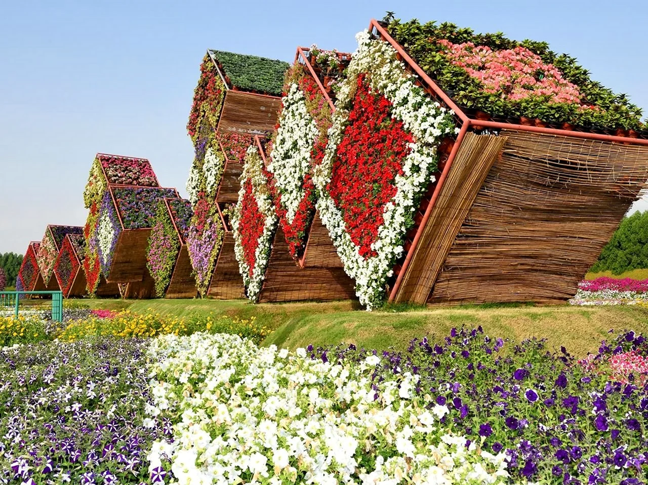 Сад чудес в Дубае. Красивая картинка
