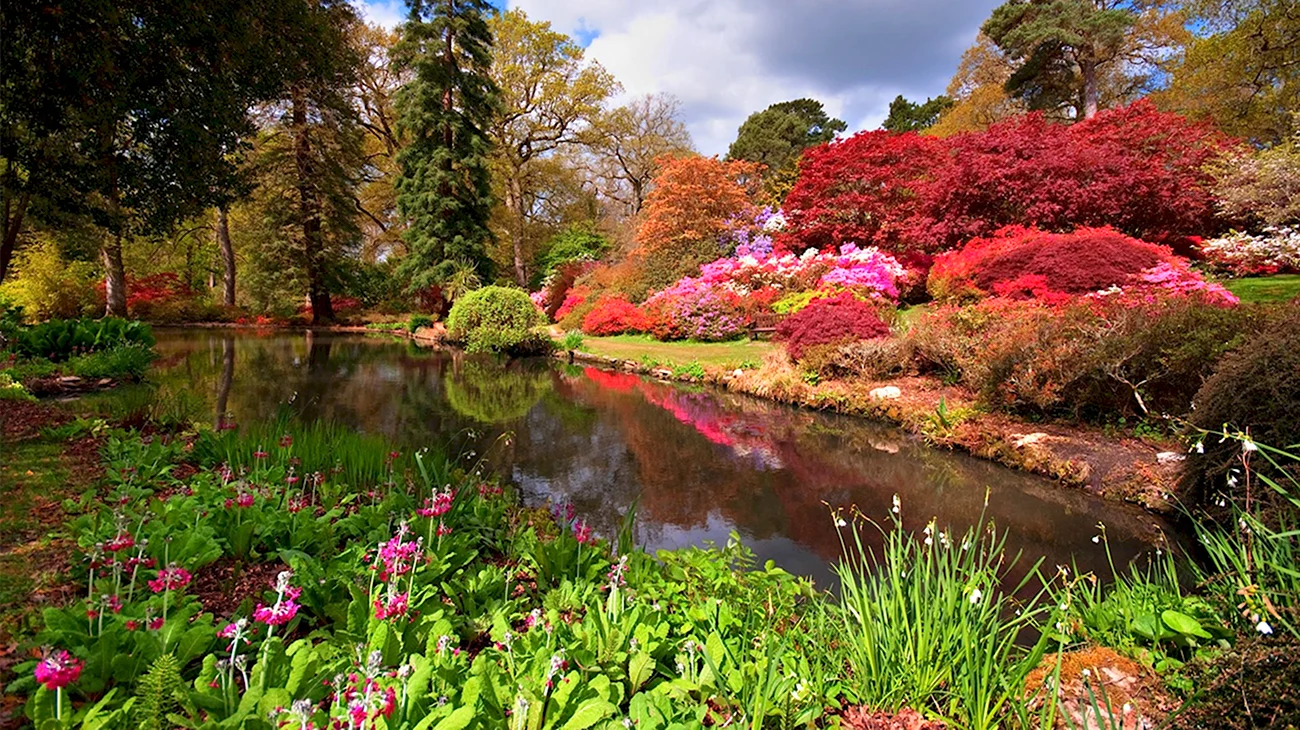 Сад Эксбери Англия. Красивая картинка
