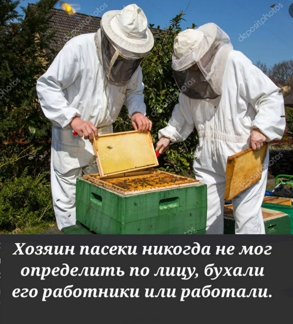 Садоводство и Пчеловодство. Поздравление