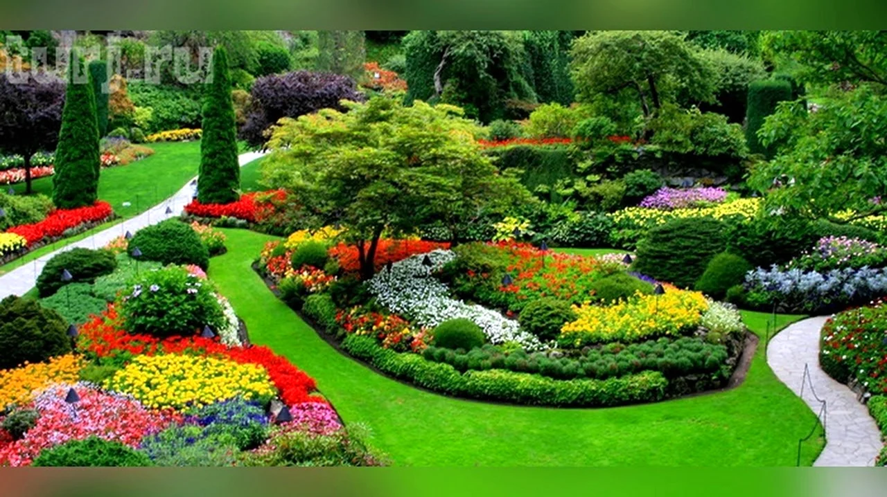 Сады Будхарт. Красивая картинка