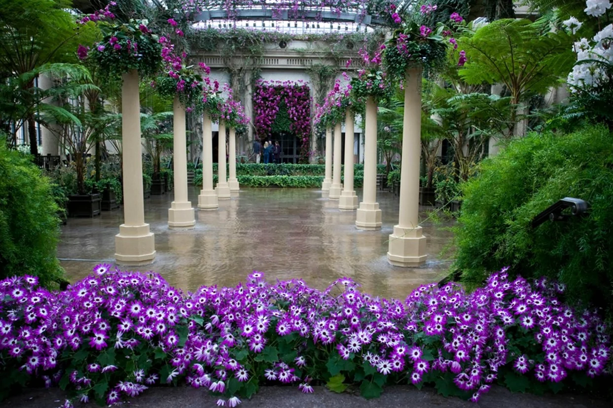 Сады Дюпона Филадельфия. Красивая картинка