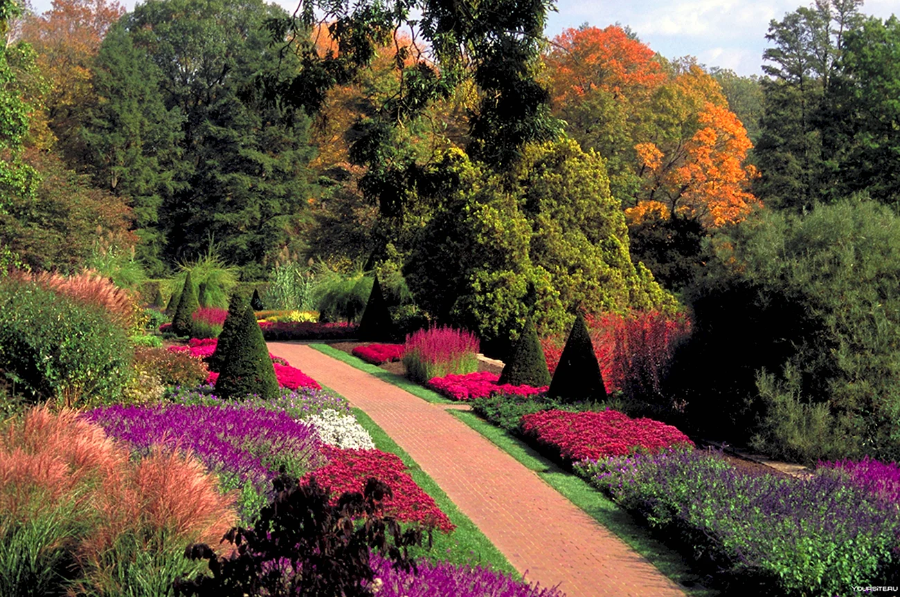 Сады Пьера Дюпона. Красивая картинка
