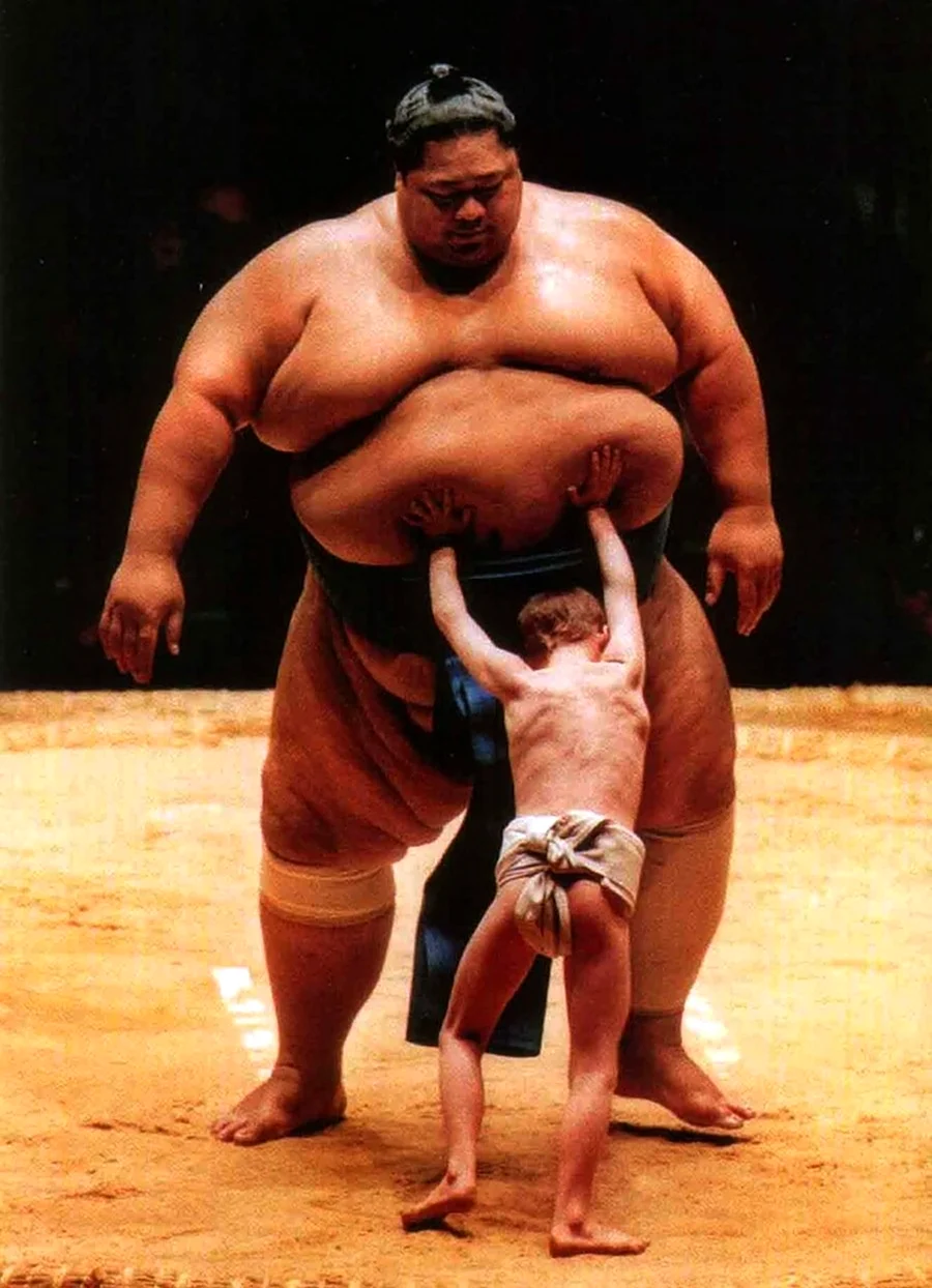 Самый толстый борец сумо. Картинка